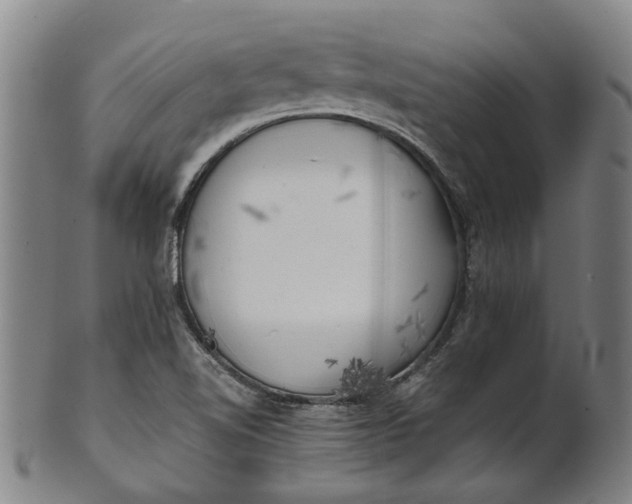 X0000101651510200807241343