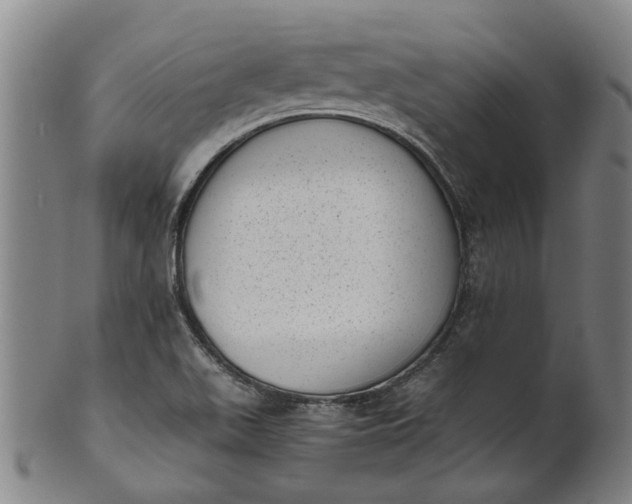 X0000101651511200807241343