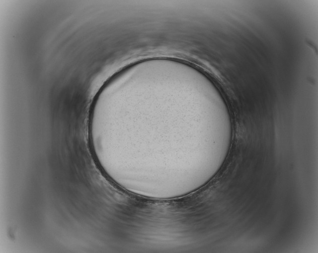 X0000101651512200807241343