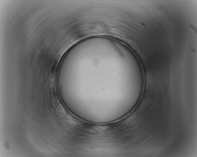 X0000101651513200807241343