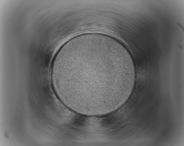 X0000101651514200807241343