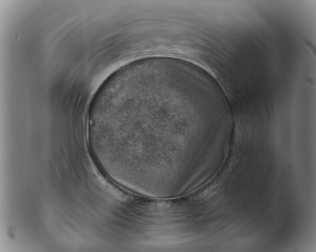 X0000101651515200807241343