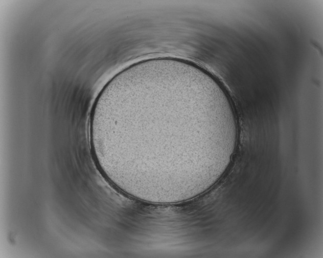 X0000101651516200807241343