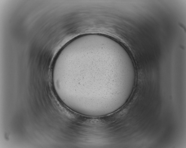 X0000101651517200807241343