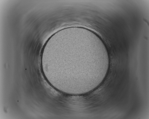 X0000101651518200807241343