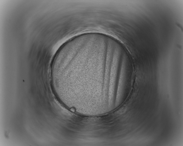 X0000101651519200807241343