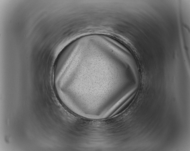 X0000101651520200807241343