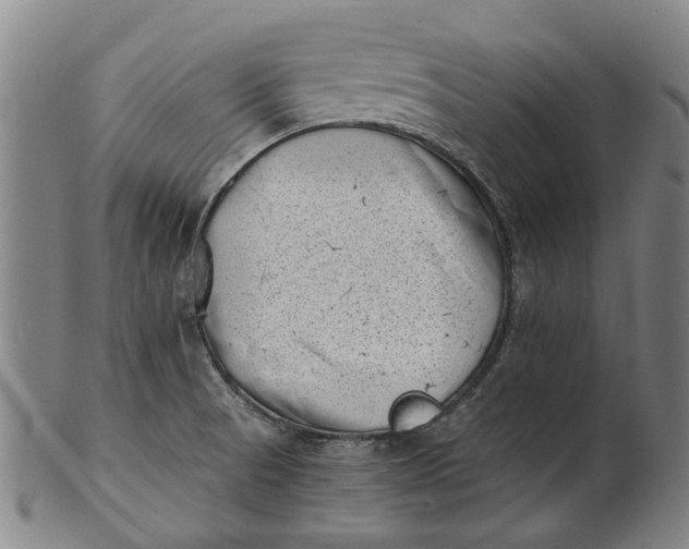 X0000101651521200807241343