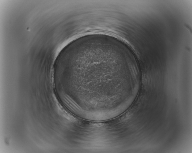 X0000101651522200807241343