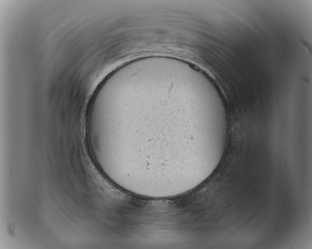 X0000101651523200807241343