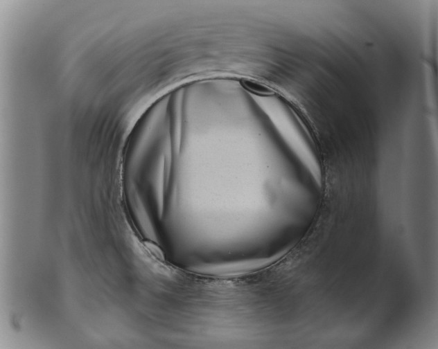 X0000101651524200807241343