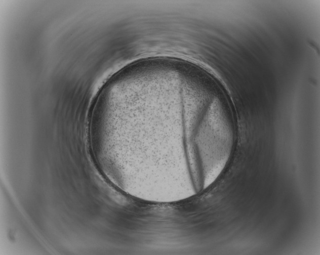 X0000101651525200807241343