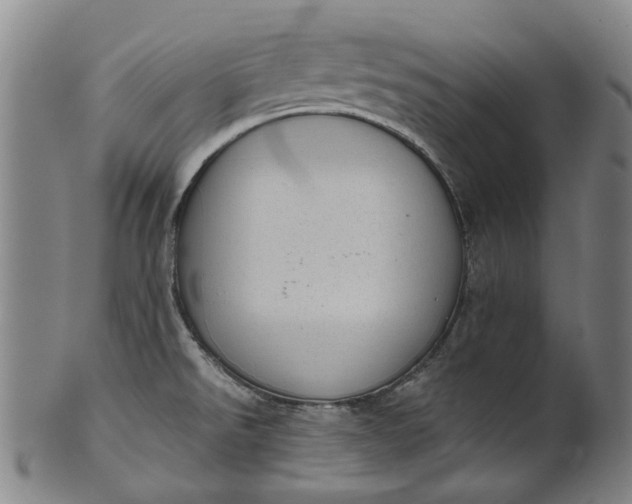 X0000101651526200807241343