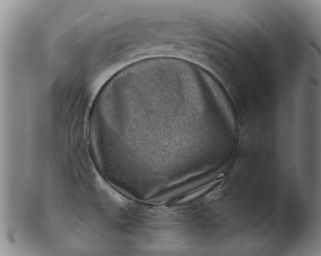 X0000101651527200807241343