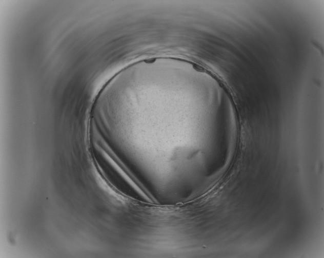 X0000101651528200807241343