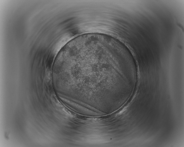 X0000101651529200807241343