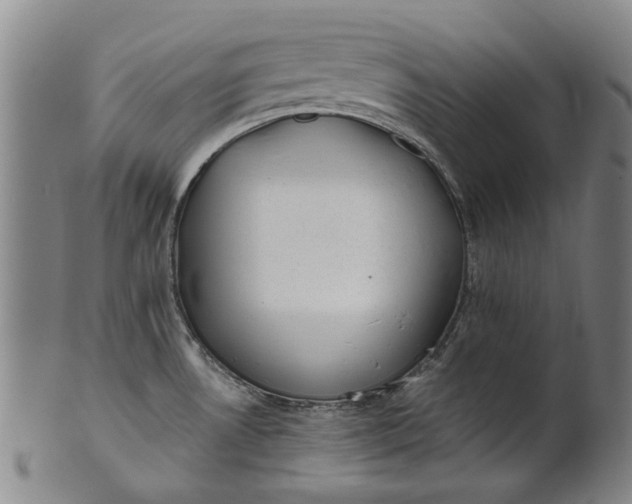 X0000101651530200807241343