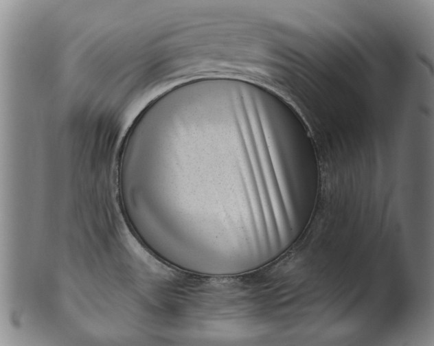 X0000101651531200807241343