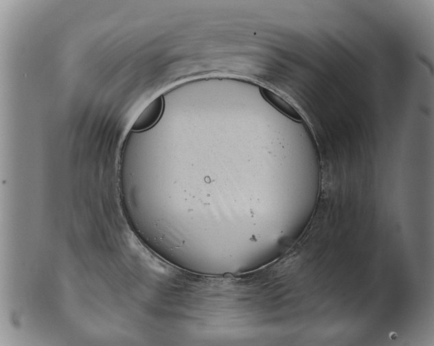 X0000101651532200807241343