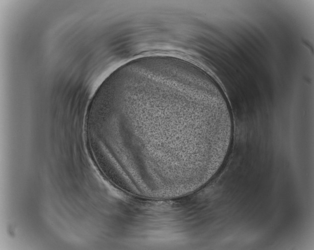 X0000101651533200807241343