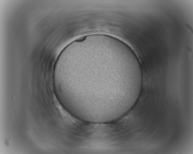 X0000101651534200807241343