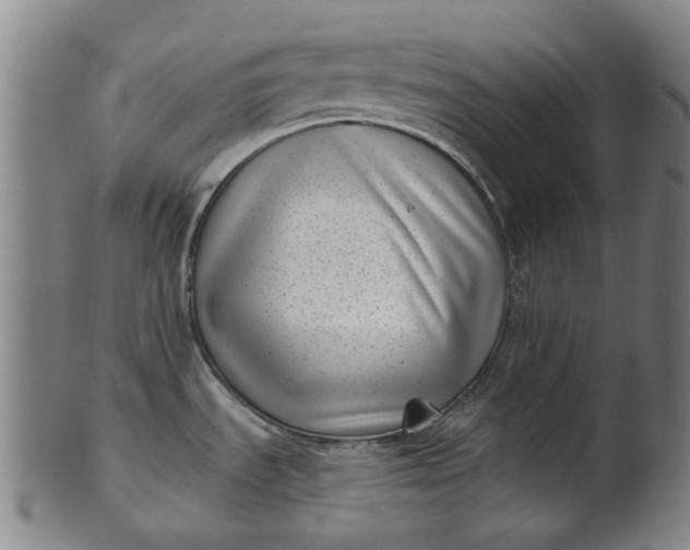 X0000101651535200807241343