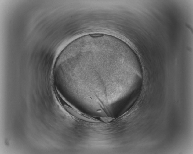 X0000101651536200807241343