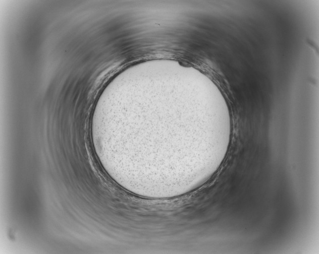 X0000101650001200807311423