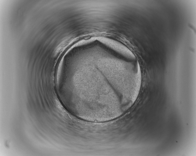X0000101650002200807311423