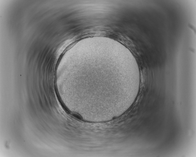 X0000101650003200807311423