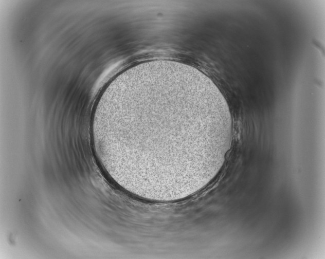 X0000101650004200807311423
