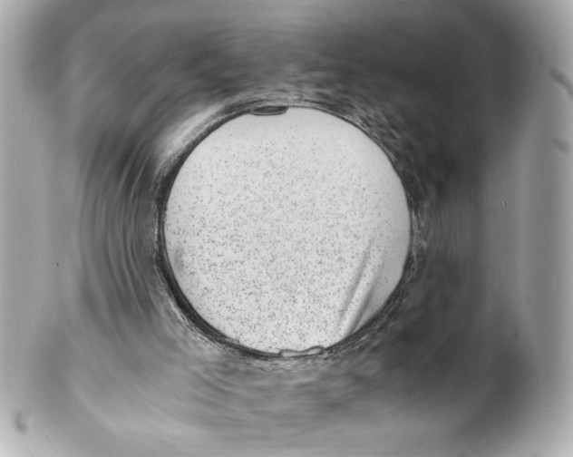 X0000101650005200807311423