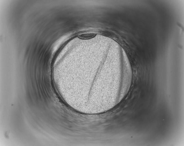 X0000101650006200807311423