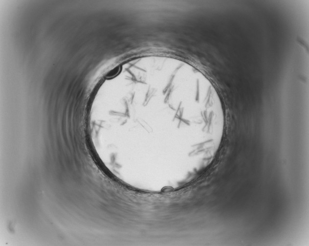 X0000101650007200807311423