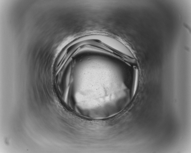 X0000101650008200807311423