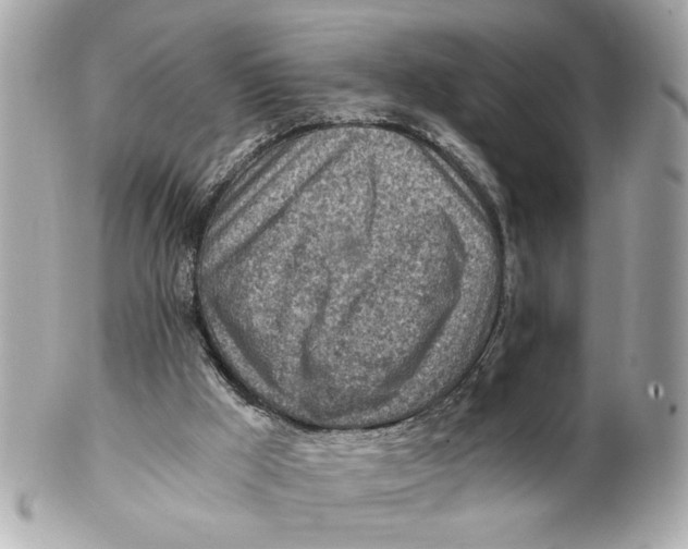 X0000101650009200807311423