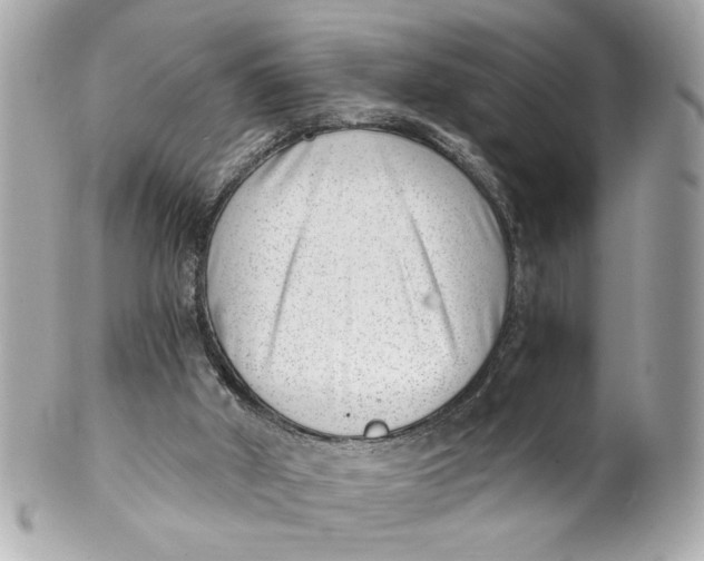X0000101650010200807311423