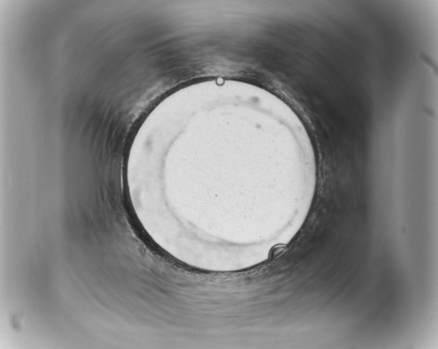 X0000101650011200807311423