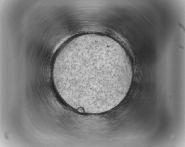 X0000101650012200807311423