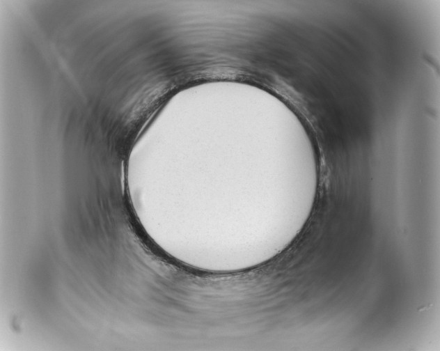 X0000101650013200807311423