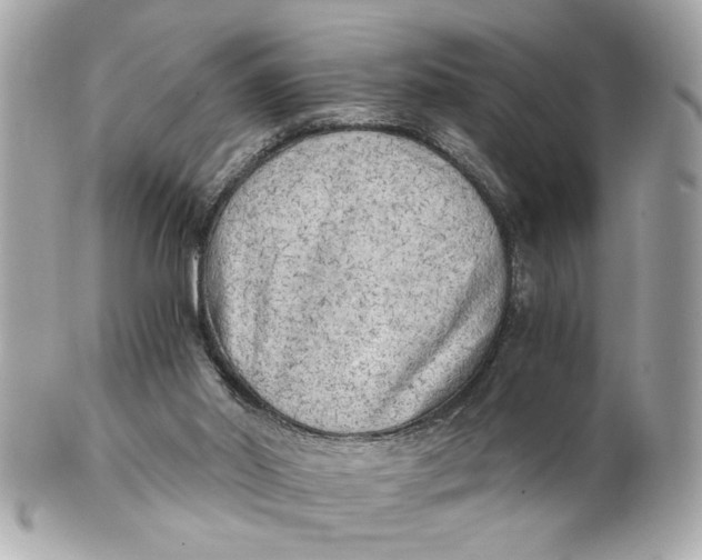 X0000101650014200807311423