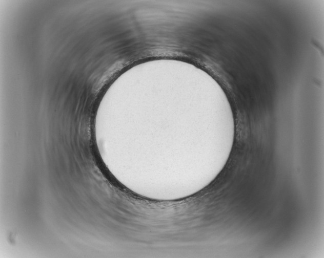 X0000101650015200807311423