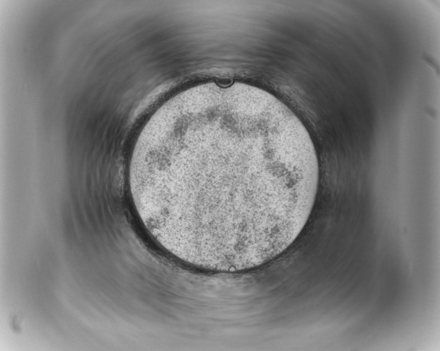 X0000101650016200807311423