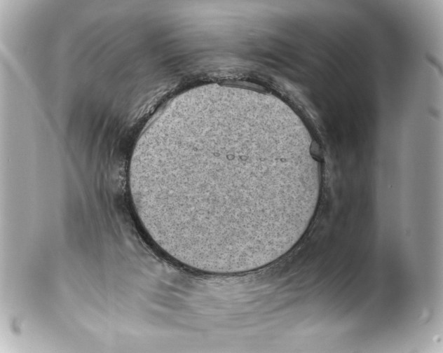 X0000101650017200807311423