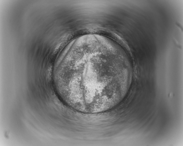 X0000101650018200807311423