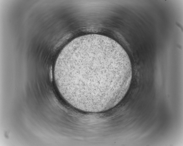 X0000101650020200807311423