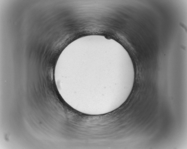X0000101650021200807311423