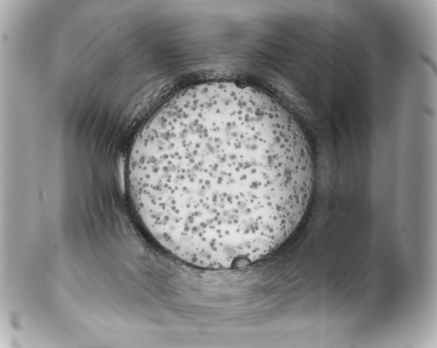 X0000101650022200807311423