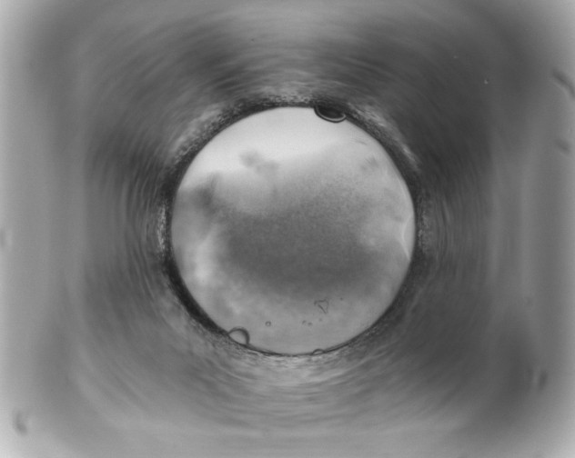 X0000101650023200807311423
