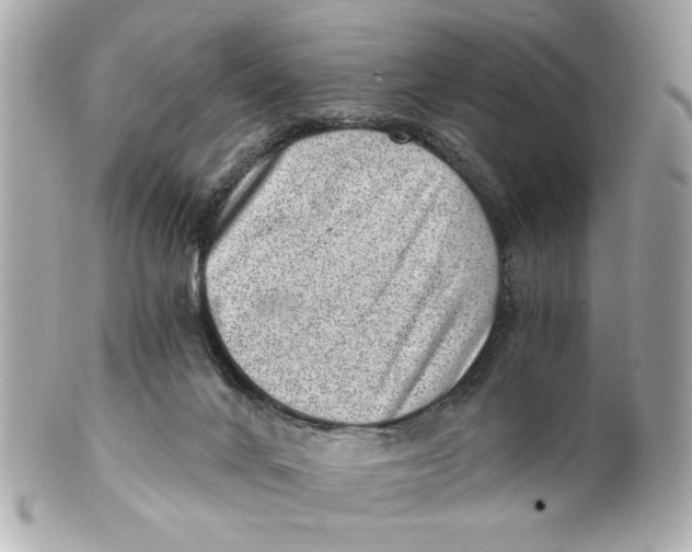 X0000101650024200807311423